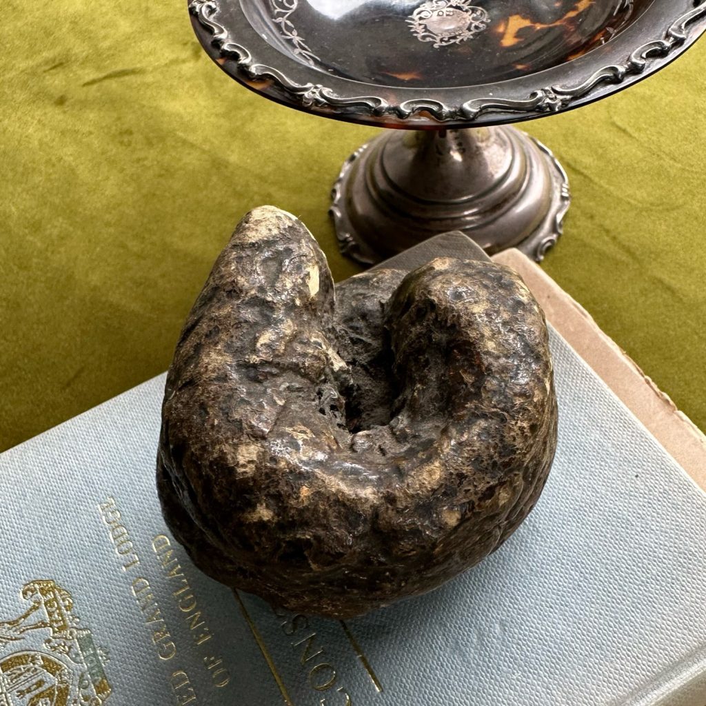 Victorian PapierMâché Dog Turd Snuff Box Bauble Magpie