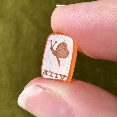 Vite (Butterfly) - Intaglio