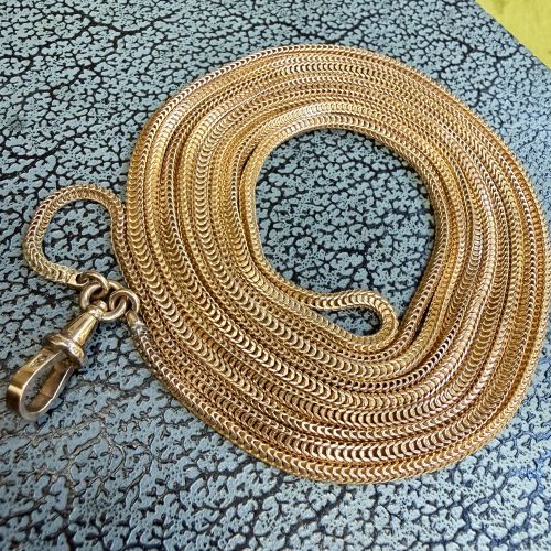 Rare Victorian Brazilian Link Guard Chain
