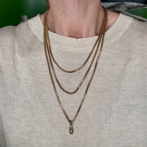 Rare Victorian Brazilian Link Guard Chain