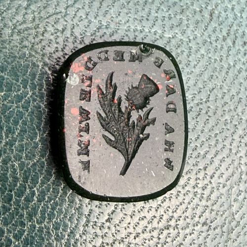 FAFO Thistle Wax Seal