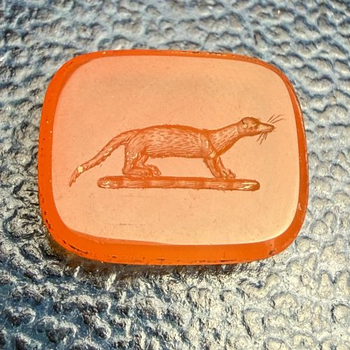 Mighty Mustelid Intaglio