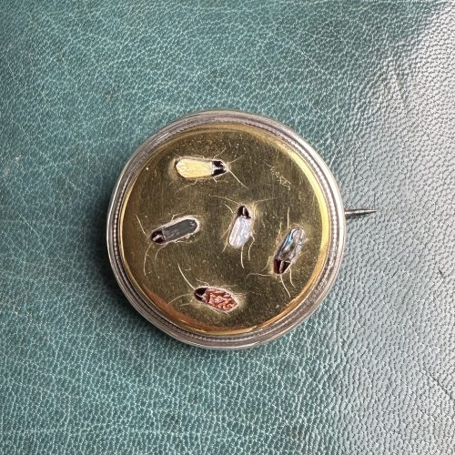 Antique Silver Gilt Shibayama Insect Brooch