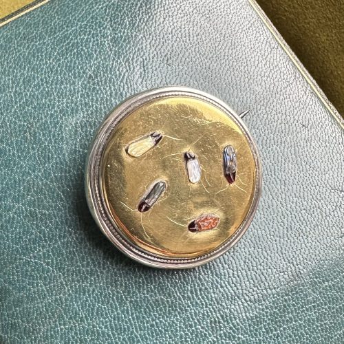 Antique Silver Gilt Shibayama Insect Brooch